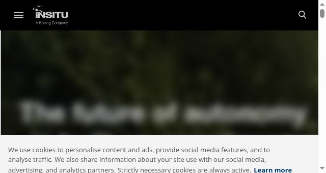 Screenshot of insitu.com