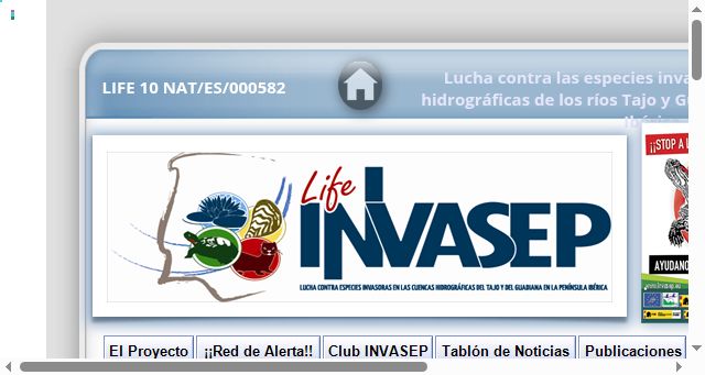 Screenshot of invasep.eu