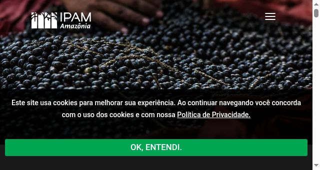 Screenshot of ipam.org.br