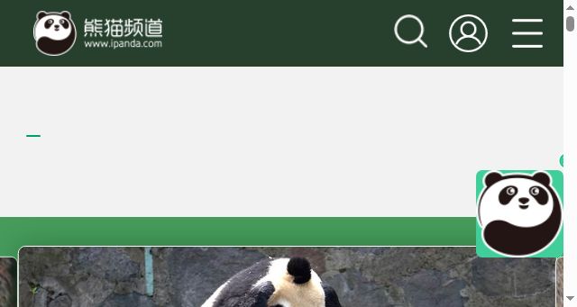 Screenshot of ipanda.com