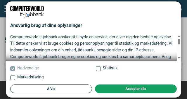 Screenshot of it-jobbank.dk