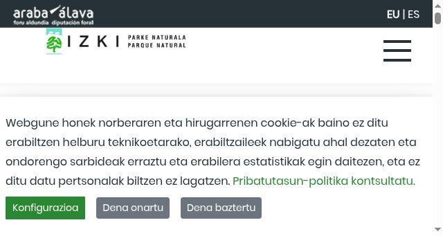 Screenshot of izkiparkea.eus