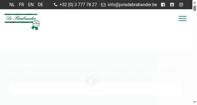 Screenshot of jorisdebrabander.be