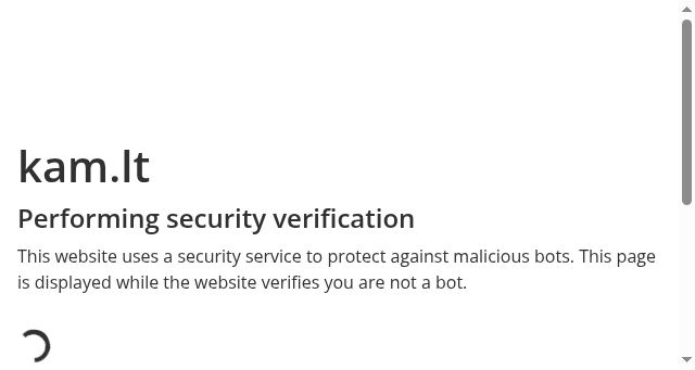 Screenshot of kam.lt