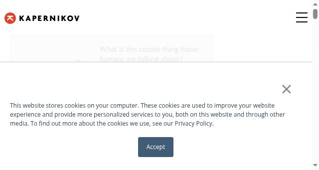Screenshot of kapernikov.com