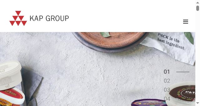 Screenshot of kapgroup.in