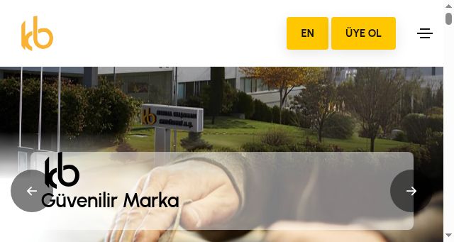 Screenshot of kemalbasaran.com.tr