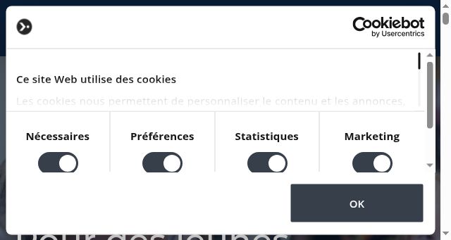 Screenshot of kmf-frm.be