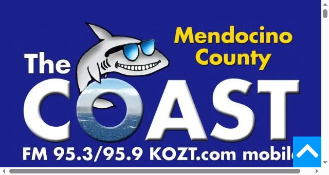 Screenshot of kozt.com