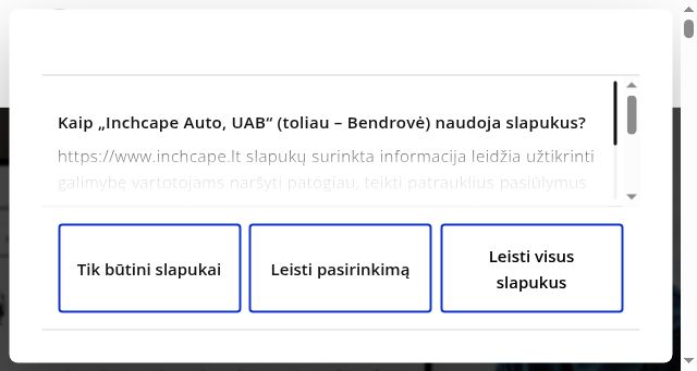Screenshot of krasta-auto.lt