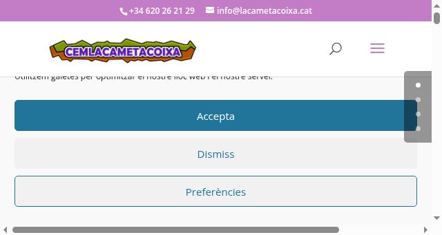 Screenshot of lacametacoixa.cat