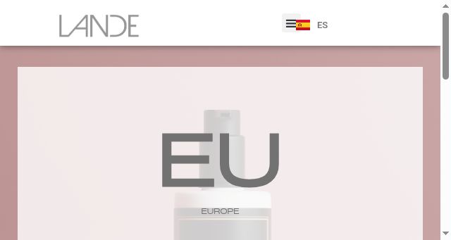 Screenshot of landesa.com