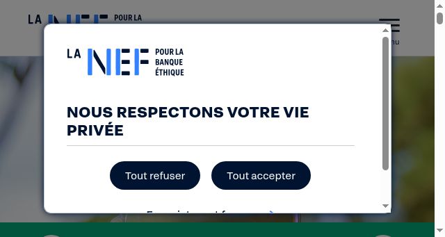 Screenshot of lanef.com