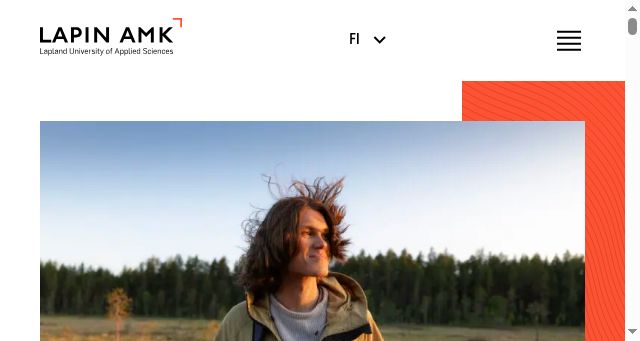 Screenshot of lapinamk.fi