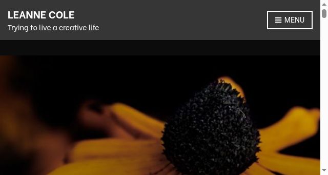 Screenshot of leannecole.com.au