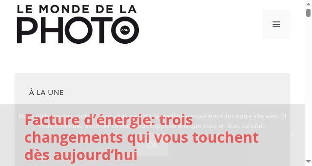 Screenshot of lemondedelaphoto.com