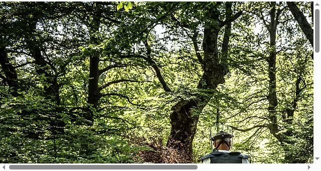 Screenshot of lifeofmine.org