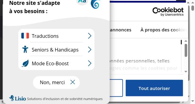 Screenshot of ligue-cancer.net