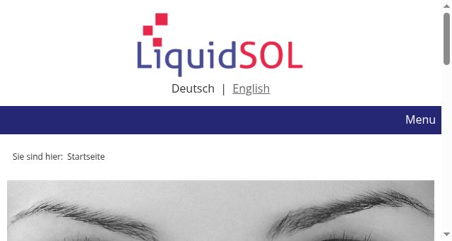 Screenshot of liquidsol.de