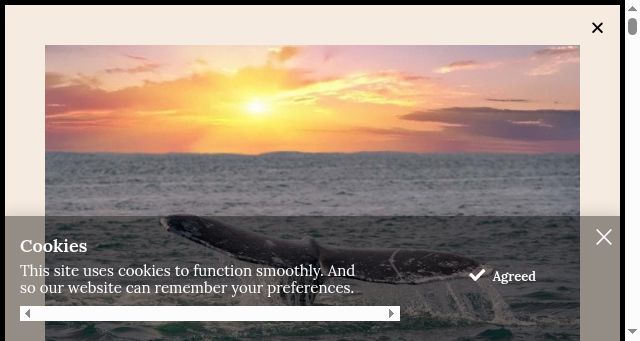 Screenshot of littleriverinn.com