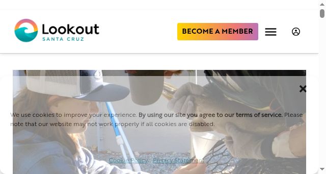 Screenshot of lookout.co