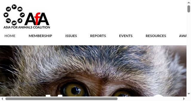 Screenshot of macaquecoalition.com