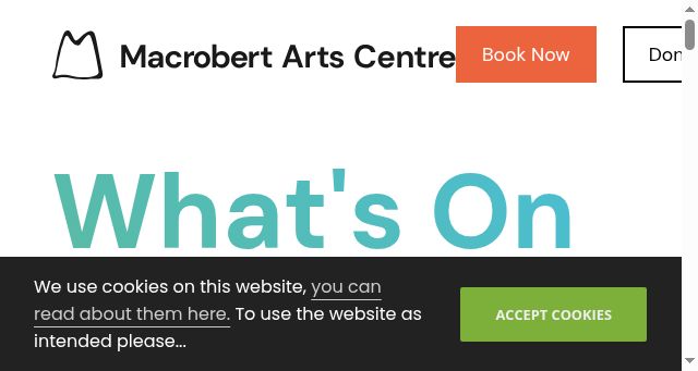 Screenshot of macrobertartscentre.org