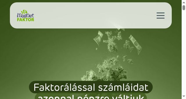 Screenshot of magnetfaktor.hu