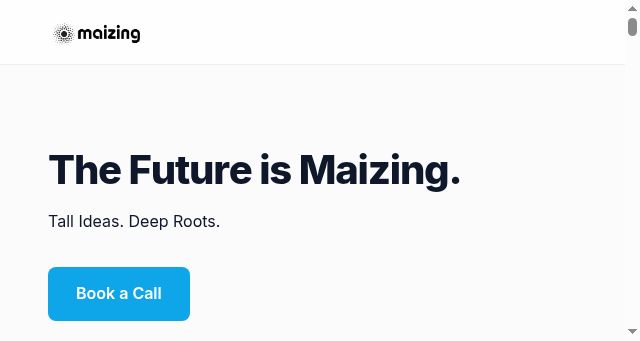 Screenshot of maizing.com