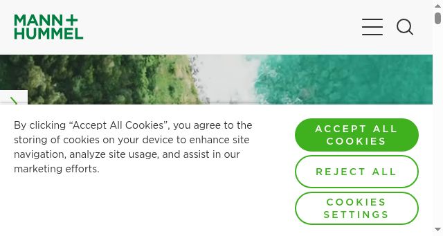 Screenshot of mann-hummel.com