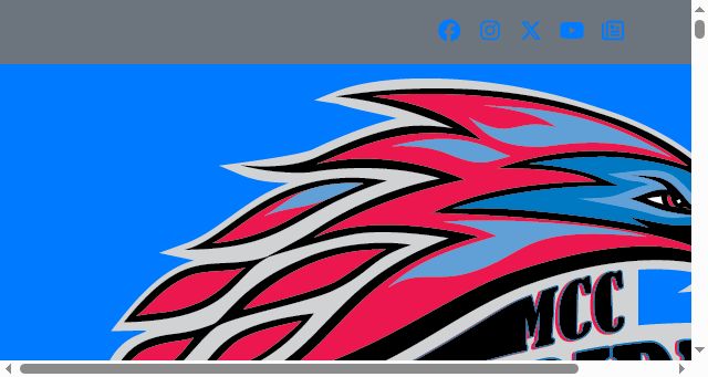 Screenshot of mesatbirdsports.com