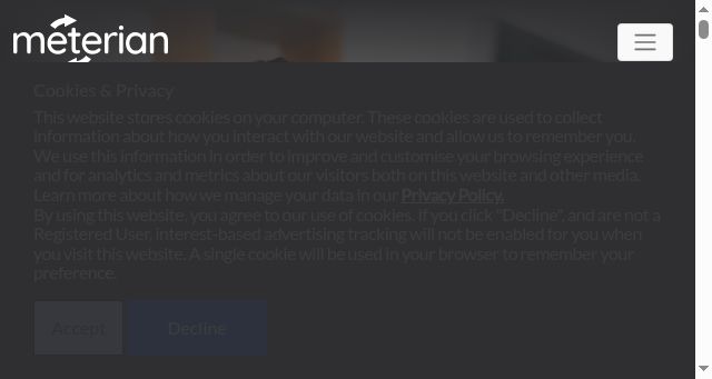 Screenshot of meterian.io