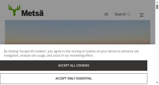Screenshot of metsagroup.com