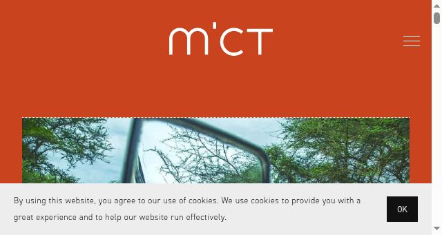 Screenshot of mict-international.org