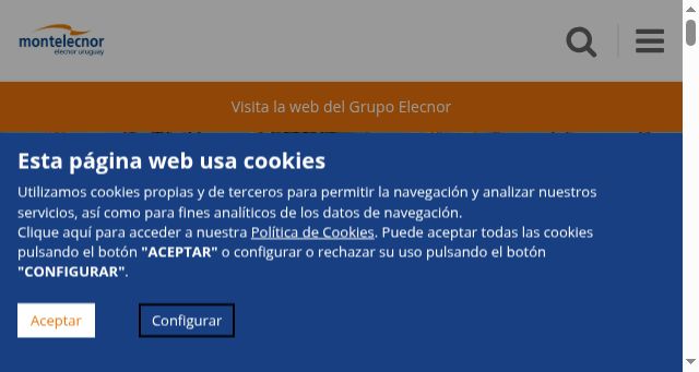 Screenshot of montelecnor.com
