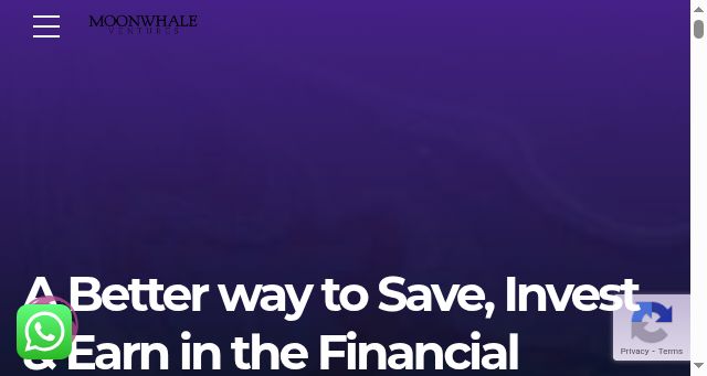 Screenshot of moonwhale.capital