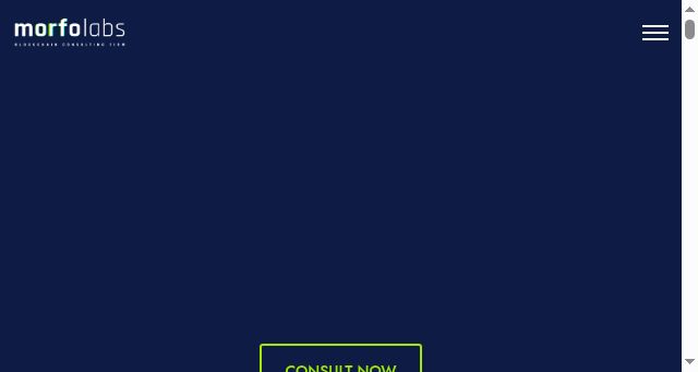 Screenshot of morfolabs.io