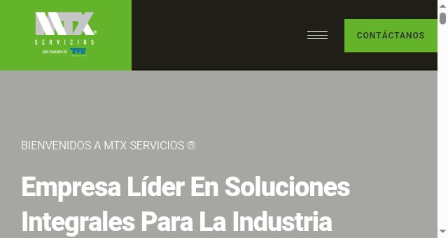 Screenshot of mtxservicios.mx