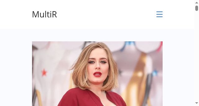 Screenshot of multir.net