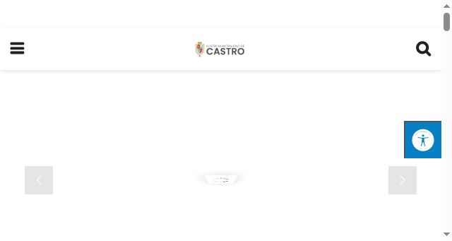 Screenshot of municipalidadcastro.cl