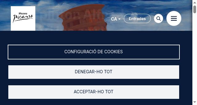 Screenshot of museupicassobcn.cat