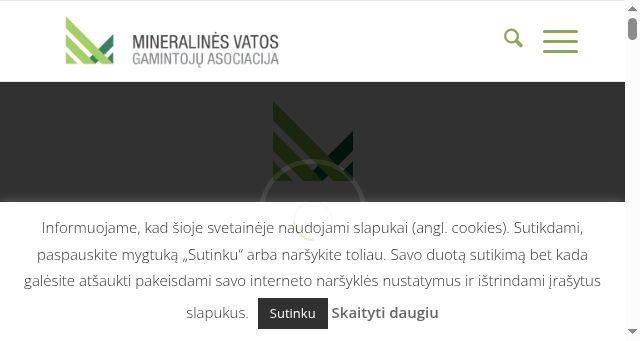 Screenshot of mvga.lt