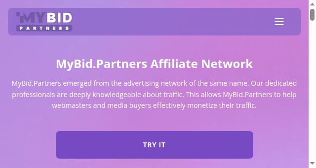 Screenshot of mybid.partners