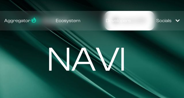 Screenshot of naviprotocol.io