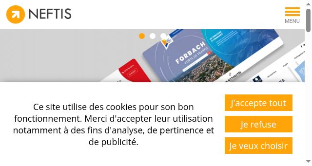 Screenshot of neftis.com