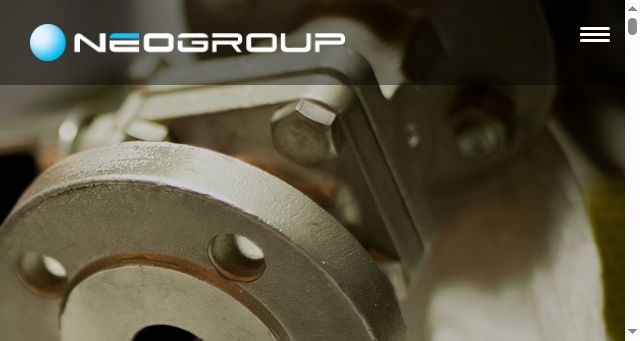 Screenshot of neogroup.eu
