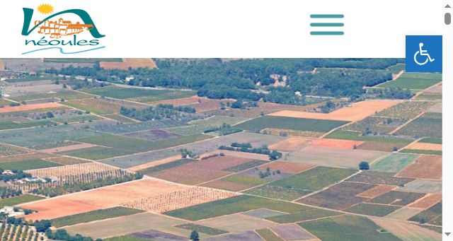 Screenshot of neoules.fr