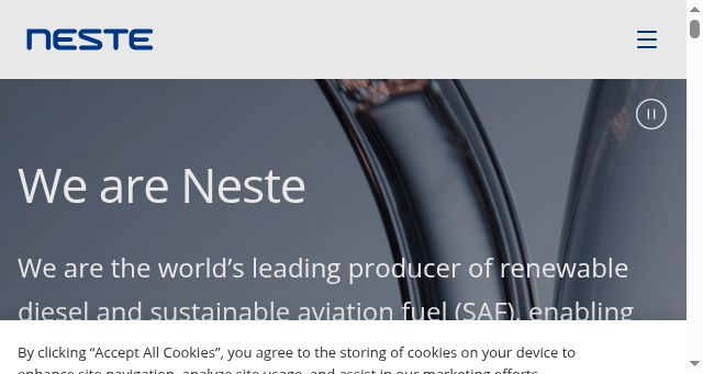 Screenshot of neste.com