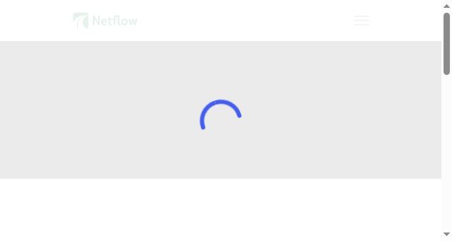 Screenshot of netflowjv.com.au