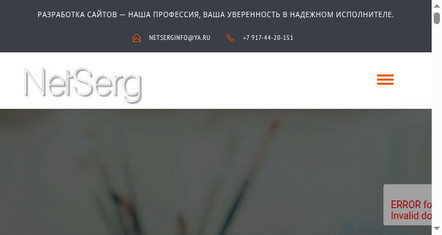 Screenshot of netserg.ru
